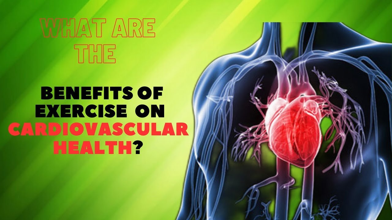 Cardiovascular Exercise for Heart Health